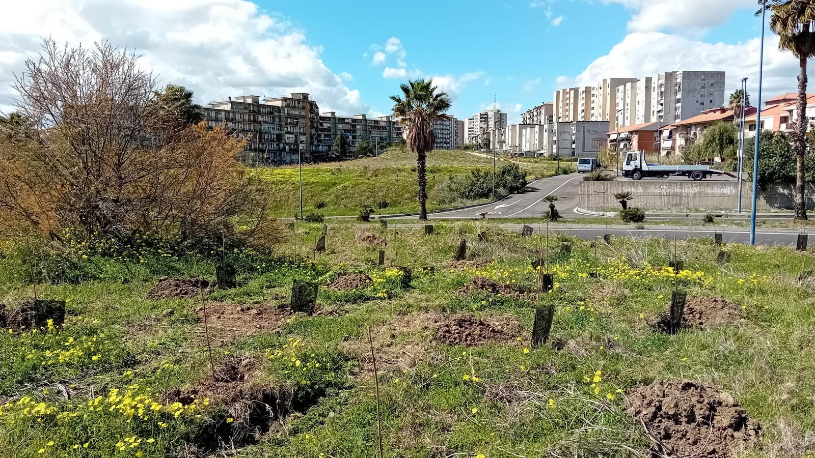 Ambiente, incrementato il verde Librino 2